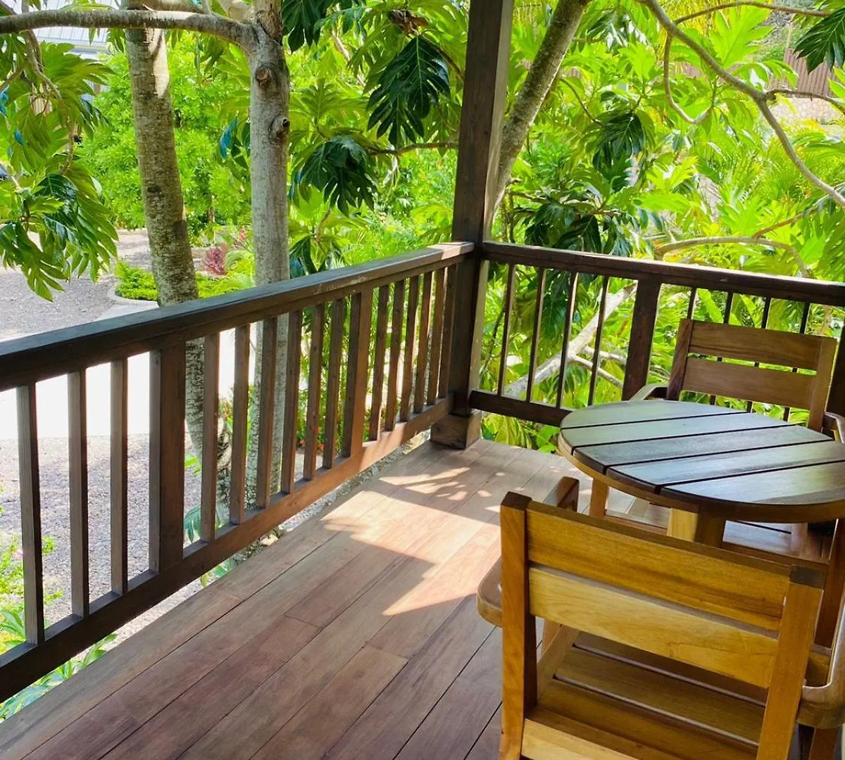 Luxury Villa With Private Pool In Oracabessa 자메이카
